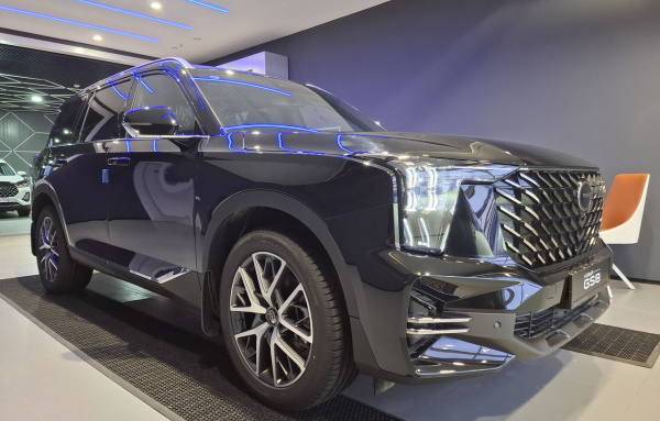 GAC GS8 ll GT АТ 2.0 (231) GAC GS8 ll GT АТ 2.0 (231)